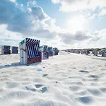 Nordseekrabbe