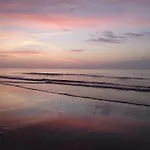 Nordseekrabbe