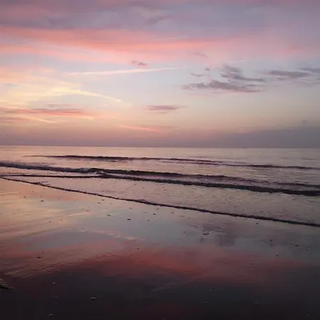 Nordseekrabbe