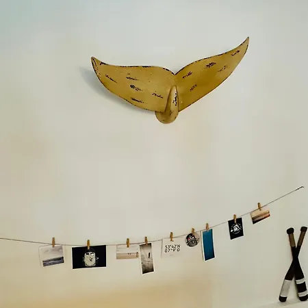 Nordseekrabbe Apartman